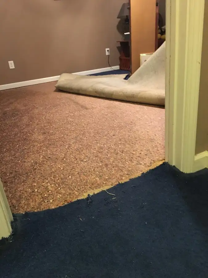 Carpet pad removal revealing water damage during Drying & Dehumidification in Madison Heights