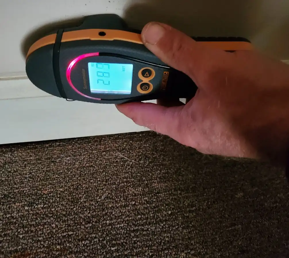 Moisture detection at baseboard during Sewage Cleanup & Sanitation in Madison Heights