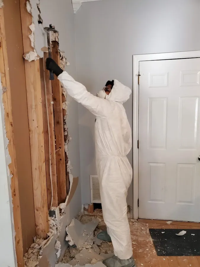 Emergency Water Damage Services in Madison Heights, MI